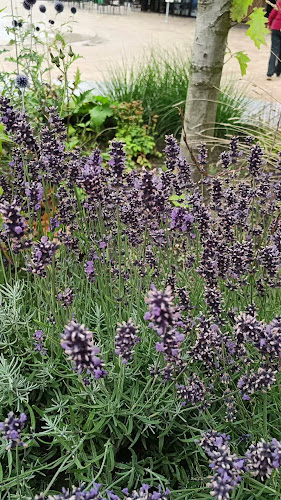 Opinii despre Cafe Skibbroen, Tønder în Tønder - Gastronomi og hotelvirksomhed