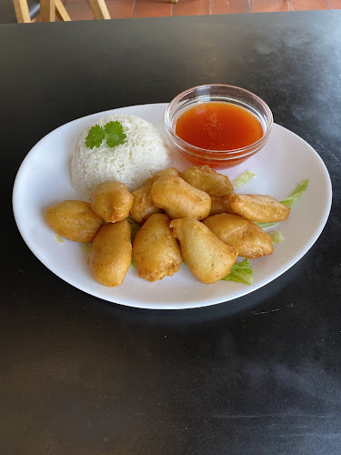 Comentarii opinii despre Hertug Burger