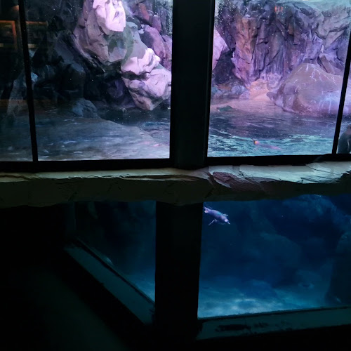 Skovbakken Restaurant ZOO - Gastronomi og hotelvirksomhed