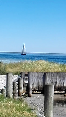 Café Odden/ Hillbilly Grill