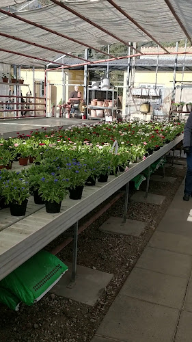 Sct. Hans Have - Roskilde