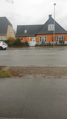 Opinii despre Kingo Grill & Pizza în Taastrup - Gastronomi og hotelvirksomhed