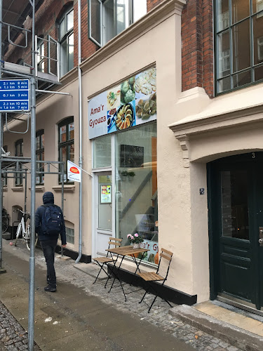 Amager Gyouza - København