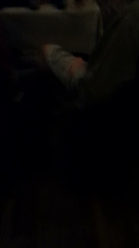 Opinii despre Strandlyst Svendborg ApS în Svendborg - Gastronomi og hotelvirksomhed