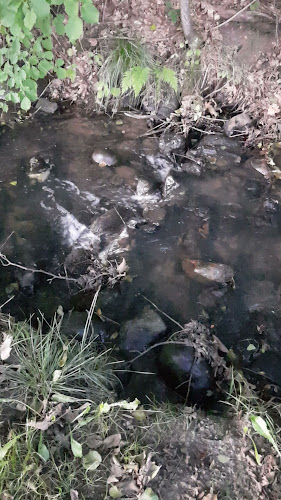 Pøt Møllevej 80, 8450 Hammel