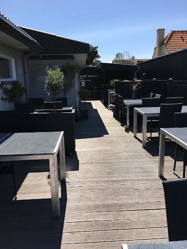 Comentarii opinii despre Café Hawgus Klitmøller