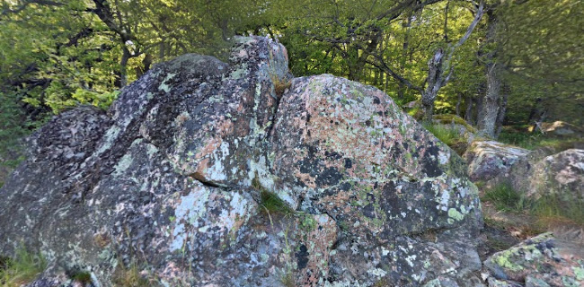 Restaurant Ekkodalshuset