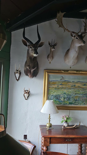 Opinii despre Kongensbro Kro în Silkeborg - Gastronomi og hotelvirksomhed