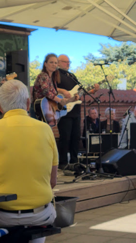 Skagen Bryghus A/S - Gastronomi og hotelvirksomhed