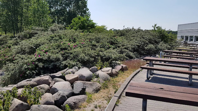 Opinii despre Monarch Nyborg în Nyborg - Gastronomi og hotelvirksomhed