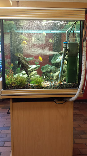 Smedebroen 17, 8380 Trige