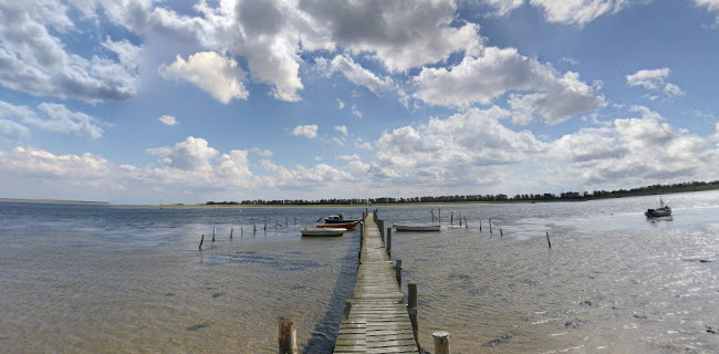 Café Odden/ Hillbilly Grill - Gastronomi og hotelvirksomhed