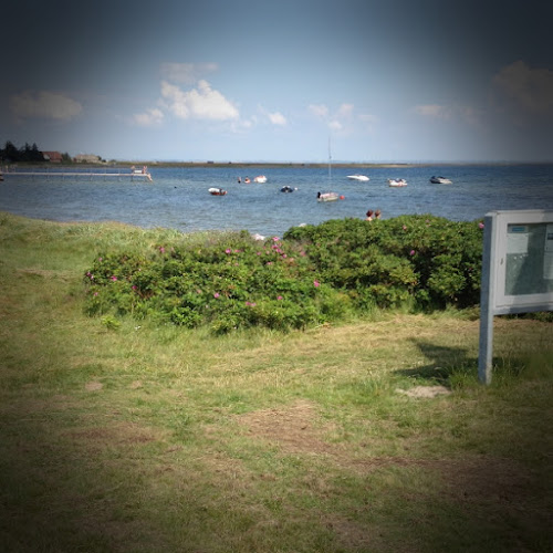 Café Odden - Lemvig