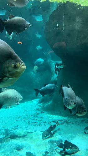 Restaurant Bondestuen i Odense - Dansk mad i hjertet af Odense - Gastronomi og hotelvirksomhed