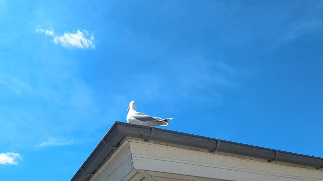 Opinii despre Havnekiosken Roskilde în Roskilde - Gastronomi og hotelvirksomhed