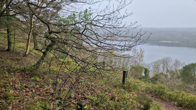 Opinii despre Rørbæk Sø în Give - Gastronomi og hotelvirksomhed