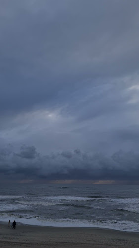 Woodys Søndervig - Gastronomi og hotelvirksomhed