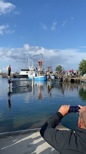 Mommark Marina - Nordborg