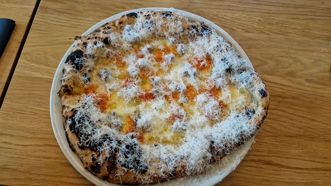 Comentarii opinii despre SURT