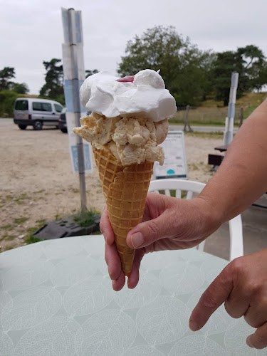 Comentarii opinii despre Restaurant Skovlyst