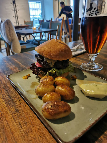 Comentarii opinii despre Kolvig - by Skovmose