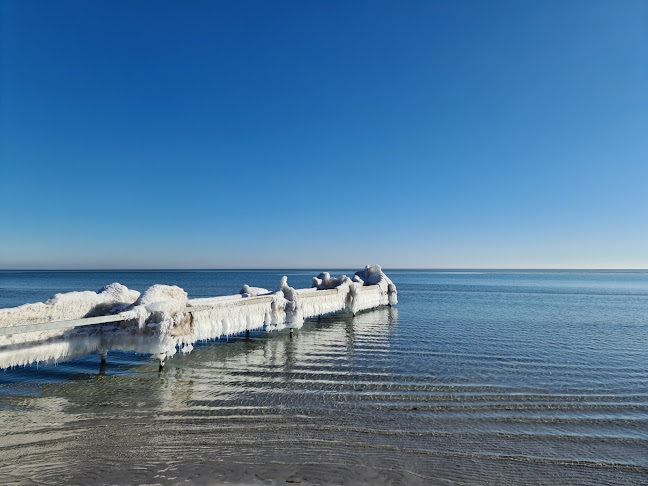 Comentarii opinii despre Manolo Greve