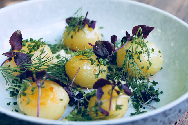 Comentarii opinii despre Kirk Hedegaard