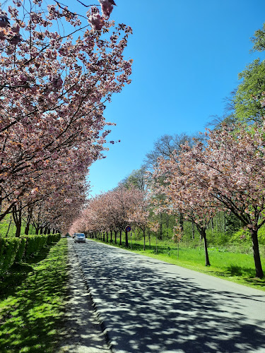 Restaurant Karetmagerens Hus - Gastronomi og hotelvirksomhed