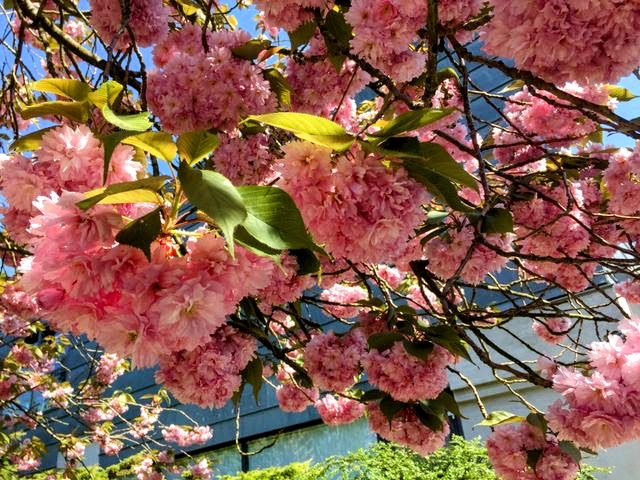 Jernbanegade 12, 3480 Fredensborg