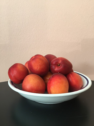 Cicchetti - Gastronomi og hotelvirksomhed