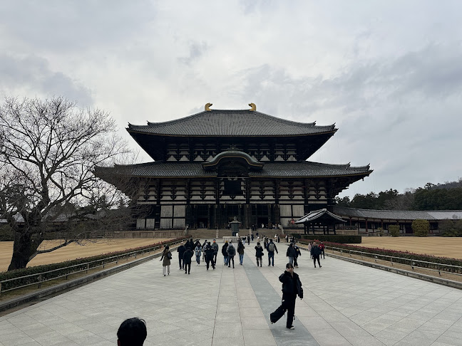 Comentarii opinii despre Strejf