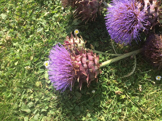 Comentarii opinii despre "Ejendommens" lille vejbod