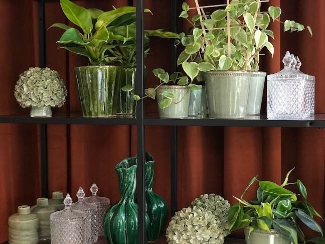 Comentarii opinii despre Florie