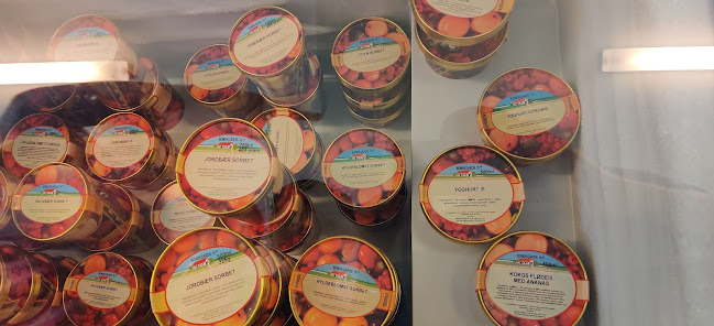 Frydendal Ismejeri - Sønderjysk Bondegårdsis - Gastronomi og hotelvirksomhed