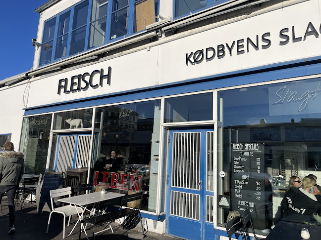 Comentarii opinii despre Fleisch