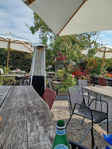 Comentarii opinii despre Den Røde Tomat