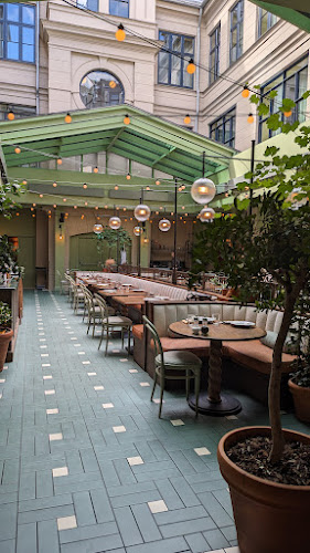 Comentarii opinii despre Duse