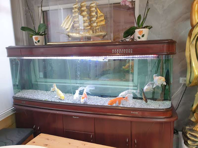 Hua Xin - Nykøbing Falster