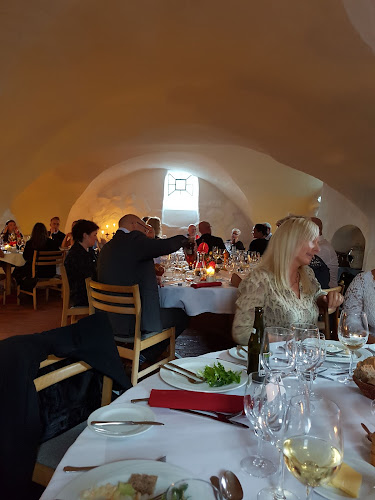 Opinii despre Restaurant Herregårdskælderen în Brørup - Gastronomi og hotelvirksomhed