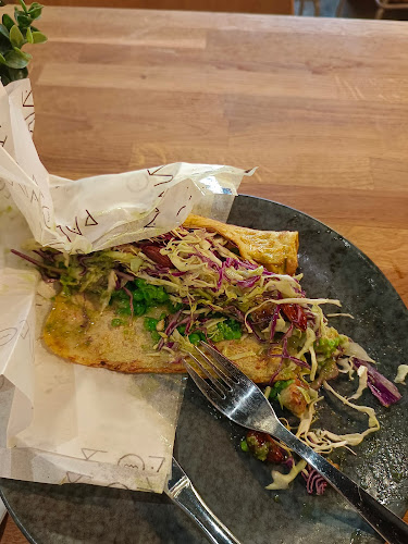 Comentarii opinii despre Palæo