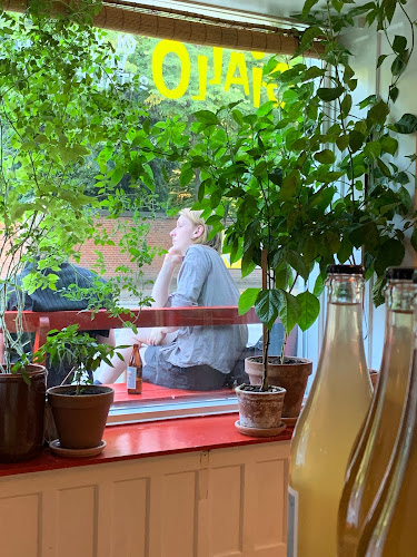 Comentarii opinii despre Giallo