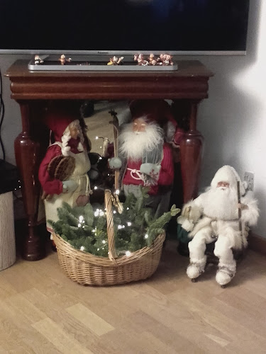 Telling Bent (Slagter)