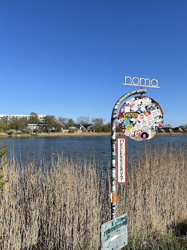 Comentarii opinii despre Noma