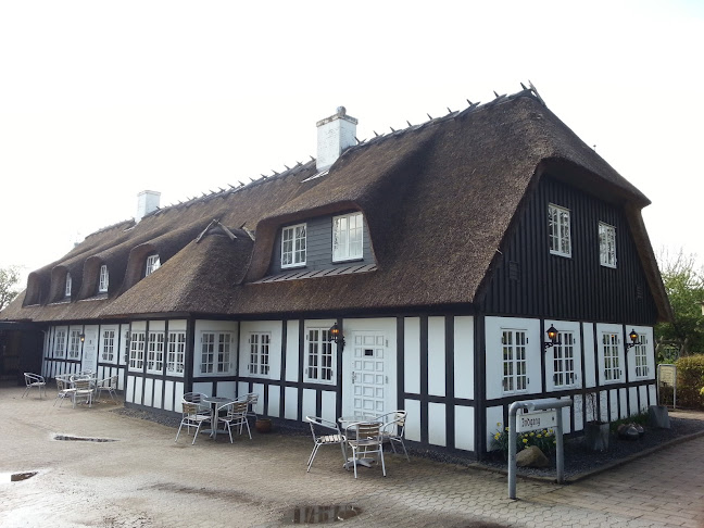 Den Gyldne Hane - Kolding