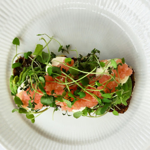 Comentarii opinii despre Orangeriet