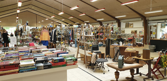 Guld & Rod Ribe - Ribe