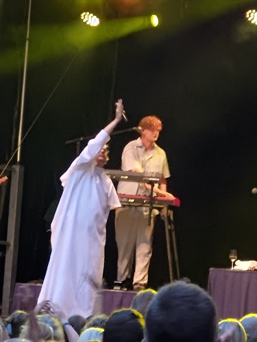 Comentarii opinii despre HANSTED