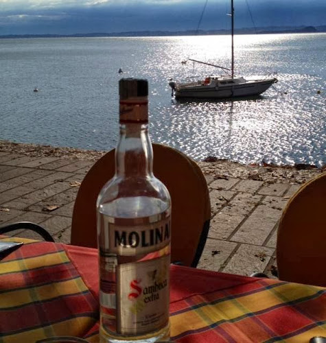 Engbo Vine - Tørring