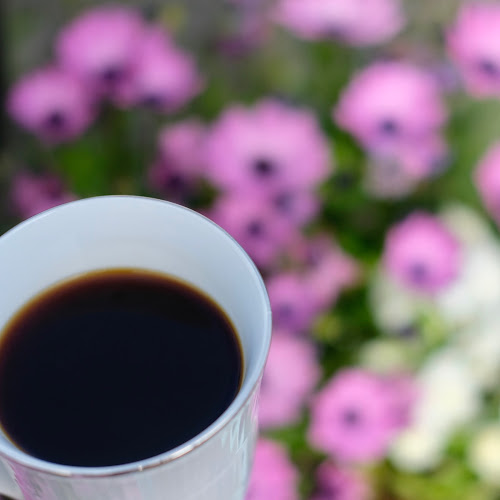 GarageRisteriet ApS - Gastronomi og hotelvirksomhed