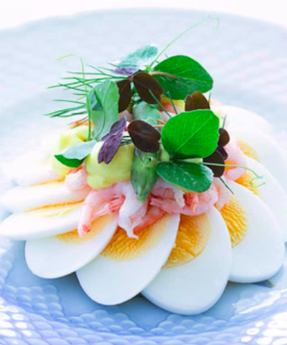 Restaurant Kastellet - Gastronomi og hotelvirksomhed